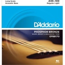 D'addario EPBB170