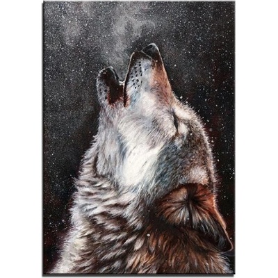 1 dílné obrazy - Vlk Velikost 50 X 70cm