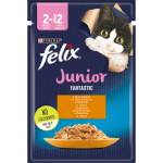 FELIX Junior Пилешко в желе - 85 г пакетче
