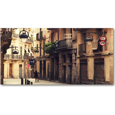 Foto obraz sklo tvrzené tráva 100x50 cm
