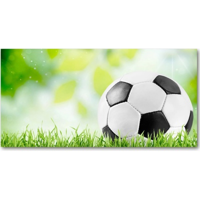 Foto-obraz fotografie na skle futbal 100x50 cm