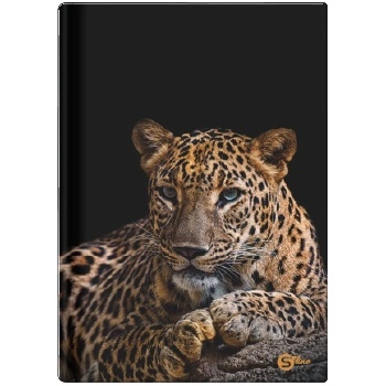 Eurocom Тетрадка А4, S-line, 96 листа, широки редове, 55g, твърди корици (27139-А)