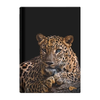 Eurocom Тетрадка А4, S-line, 96 листа, широки редове, 55g, твърди корици (27139-А)