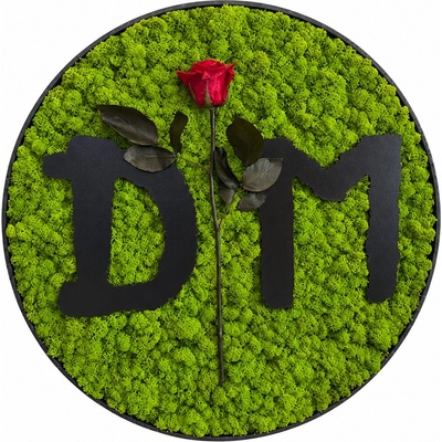 Machový obraz - Depeche Mode Veľkosť rámu: 60cm