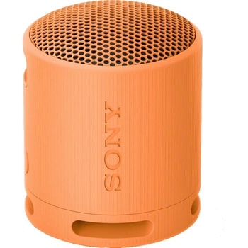 Sony SRS-XB100D