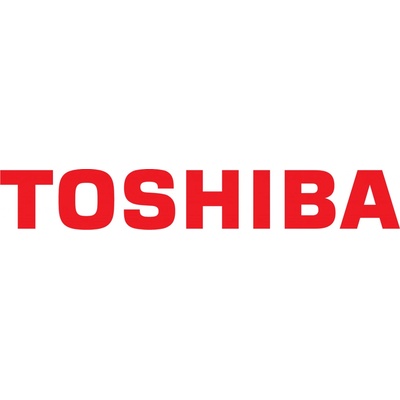 Toshiba 6LH53489000 - originální
