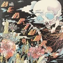 SHINS: HEARTWORMS LP