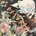 SHINS: HEARTWORMS LP