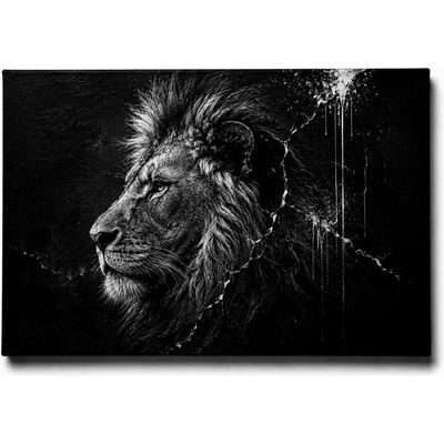 KRAFTHOUSE.EU Lion | 100% bavlna | Různé rozměry Velikost: 40 x 30 cm Lion | 100% bavlna | Různé rozměry