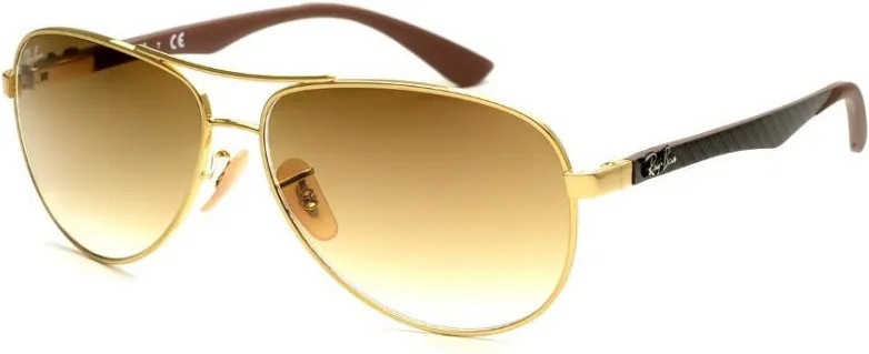 Ray-Ban RB8313 001/51