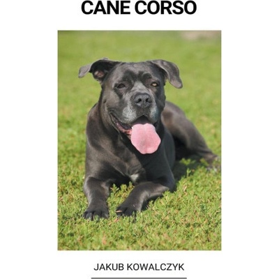 Cane Corso