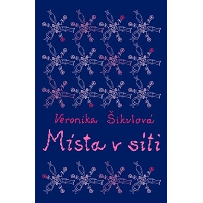 Místa v síti - Šikulová Veronika