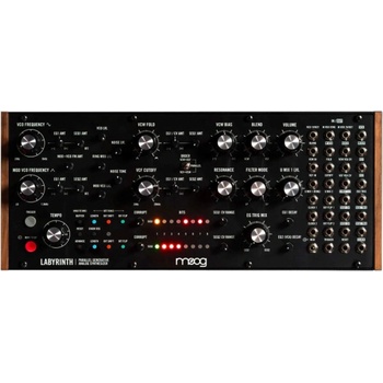 Moog Labyrinth