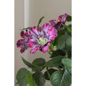 Botané Изкуствен букет Декоративен 77 x 30 cm (BOT.FA26.BOU.022)