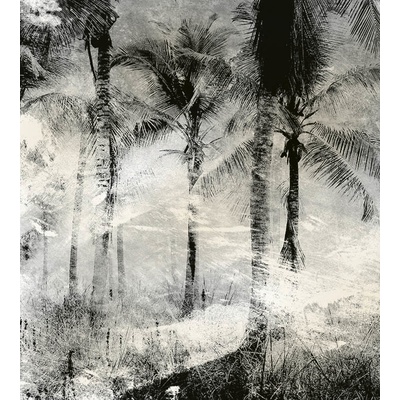 DIMEX MS-3-0374 vliesová fototapeta rozměry 225 x 250 cm