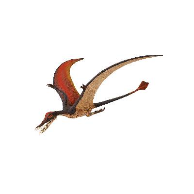 Safari Ltd. Safari Ramphorhynchus