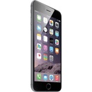 LCD Displej iPhone 6 Plus