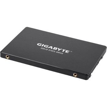 Gigabyte 256GB, GP-GSM2NE3256GNTD