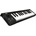 Korg microKEY 25