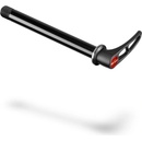 DT SWISS RWS 15 x 110 mm