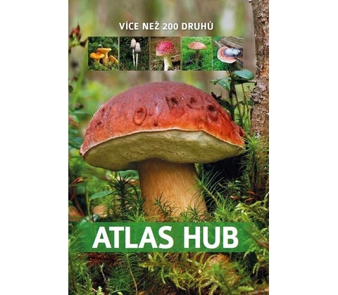 Atlas hub
