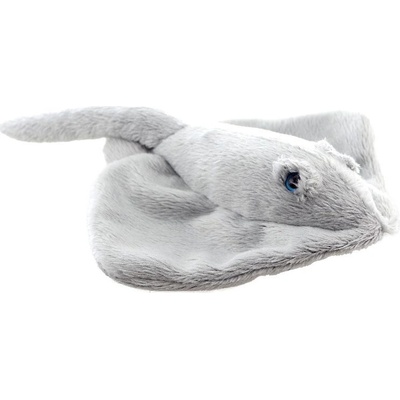 Rejnok cca 12 cm
