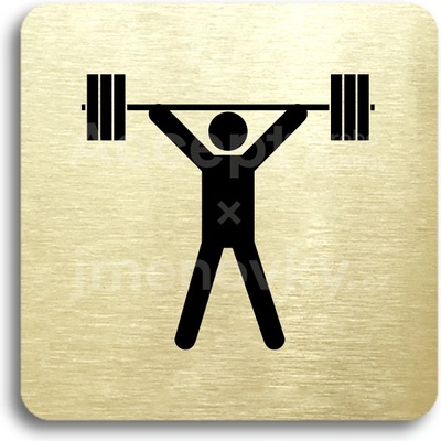 ACCEPT Piktogram fitness VI - zlatá tabulka - černý tisk bez rámečku