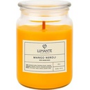 FLAGRANTE Mango Neroli 511 g