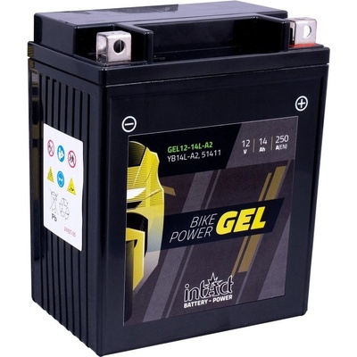 Intact YB14L-A2 GEL