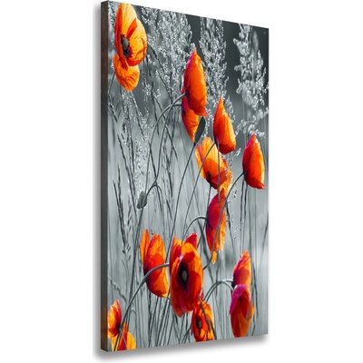 Vertikálny foto obraz na plátne do obývačky Polné maky 50x100 cm