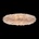 UMAGE 2464