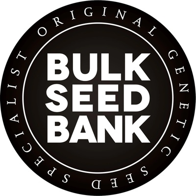 Bulk Seed Bank AUTO Extra Mintz semena neobsahují THC 5 ks