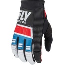 Fly Racing Evolution