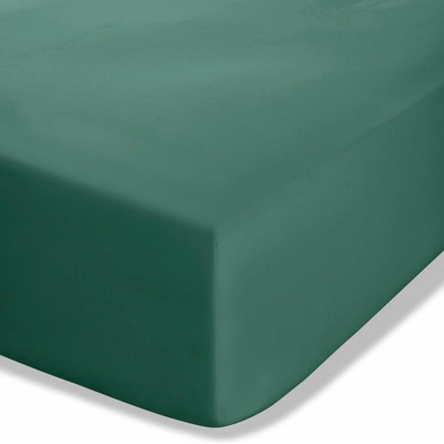 Catherine Lansfield Tmavozelená napínacia perkálová plachta Easy Iron Percale 90x190