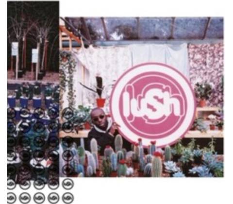 Lovelife - Lush LP