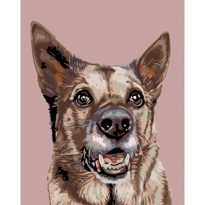 Zuty Malování podle čísel Fenka vlčáka 80 x 100 cm vypnuté plátno na rám