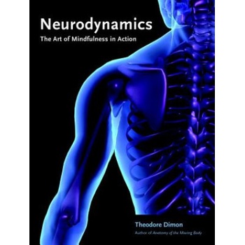Neurodynamics