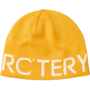 Arc'teryx Зимна шапка (beanie) Arc'teryx Word Head Toque Beanie - Larch / Arctic Silk - размер One Size (904-0816-1111)