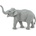 Safari Ltd Safari® Азиатски слон (S227529)