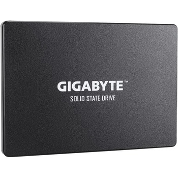 GIGABYTE 2.5 1TB SATA3 (GSTFS31100TNTD)