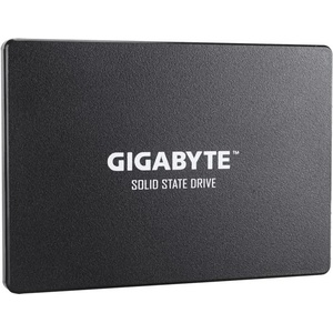 GIGABYTE 2.5 1TB SATA3 (GSTFS31100TNTD)
