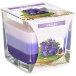 BISPOL Ароматна свещ Bispol Aura - Violet, 170 g (snk80-131)