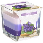 BISPOL Ароматна свещ Bispol Aura - Violet, 170 g (snk80-131)