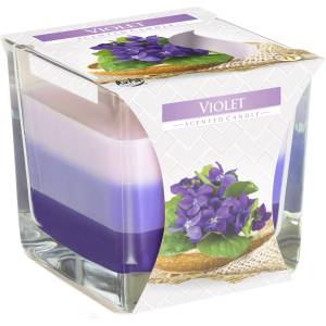 BISPOL Ароматна свещ Bispol Aura - Violet, 170 g (snk80-131)