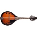 Stagg M20