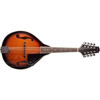 Stagg M20