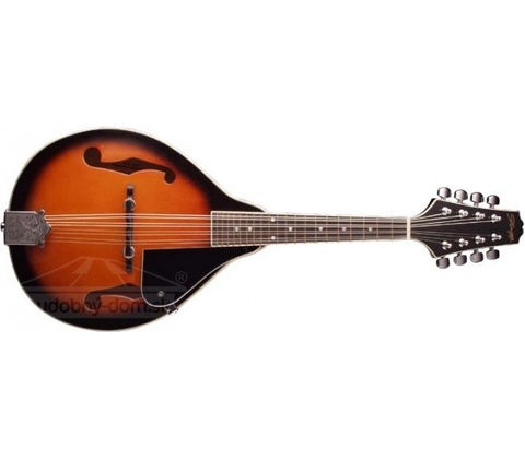 Stagg M20