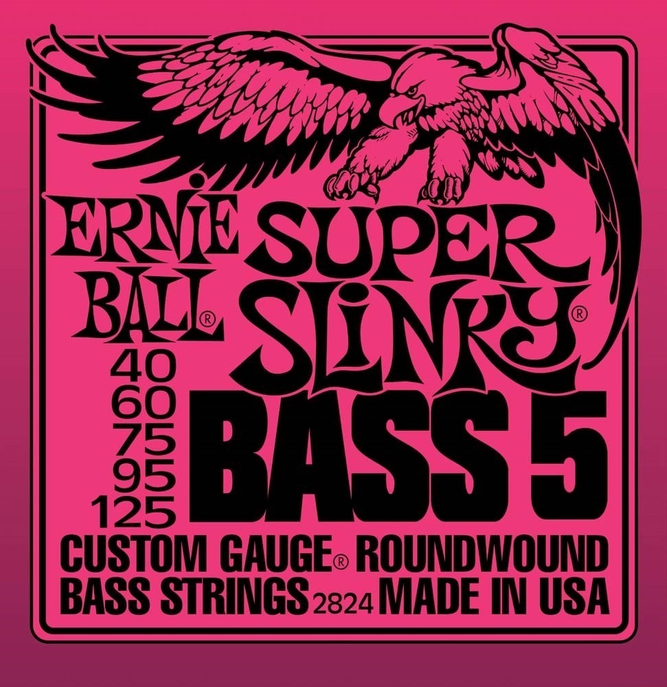 Ernie Ball 2824