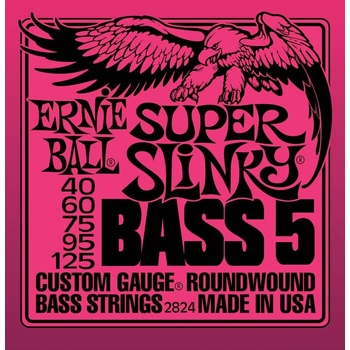 Ernie Ball 2824