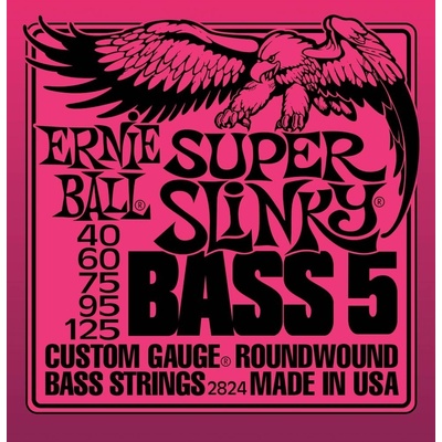 Ernie Ball 2824